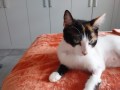 Yvi (2)